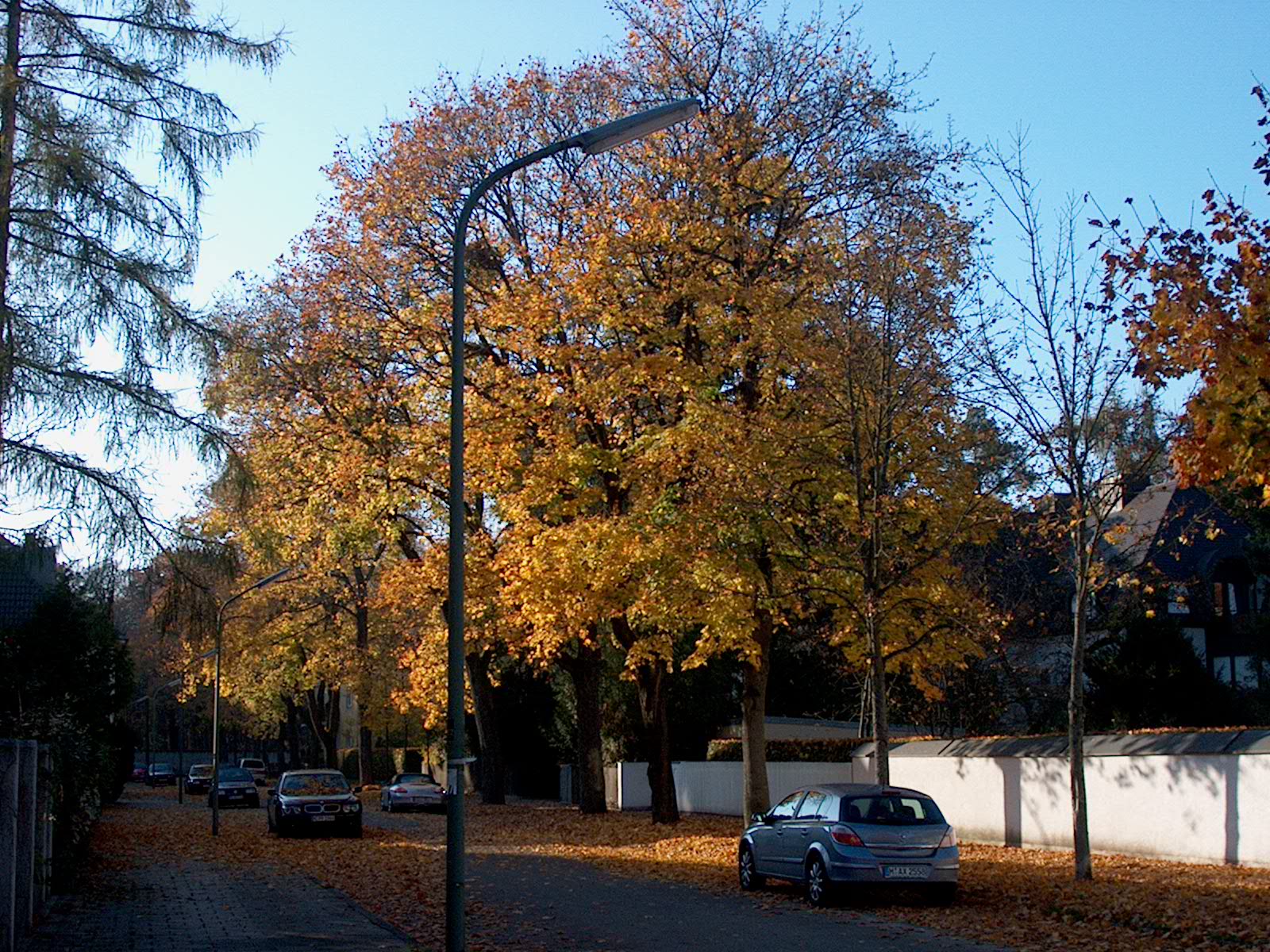 Nyphenburger Park 029 